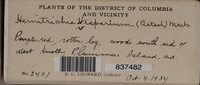 Image Associated With the Occurence